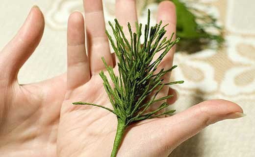 Ёлка своими руками: как живая Ёлка своими руками: как живая