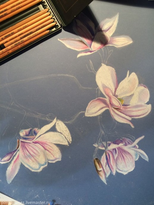 Рисование пастелью магнолии Рисование пастелью магнолии