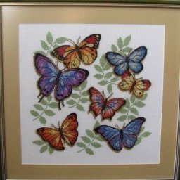 Яркие летние бабочки