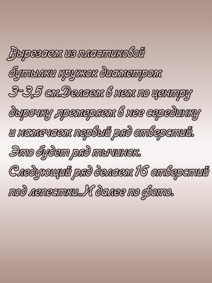 Прекрасный гелениум