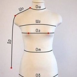 ​Снимаем мерки правильно: основы