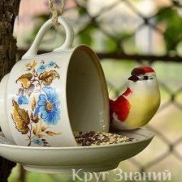 Кормушка для птиц из чашки и блюдца