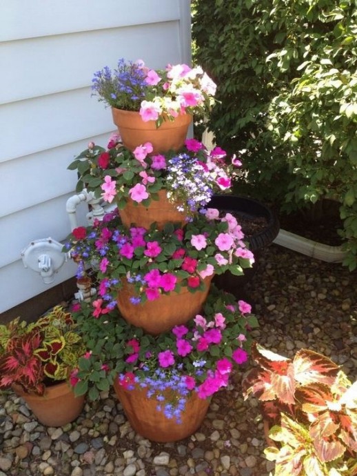 Горшечные композиции: идеи для дачи