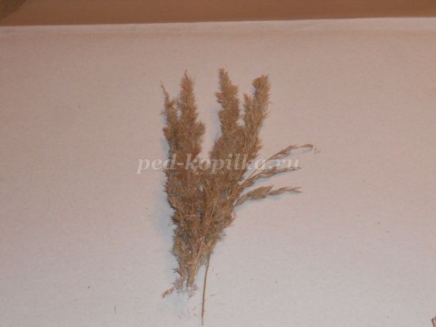 Баночка из прищепок: мастер-класс