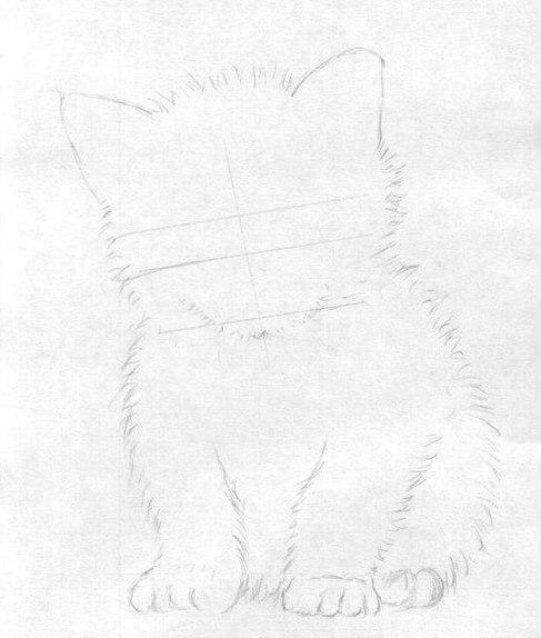 Рисуем маленького котёнка: пошаговый урок