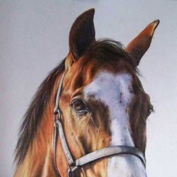 ​Урок рисования лошади