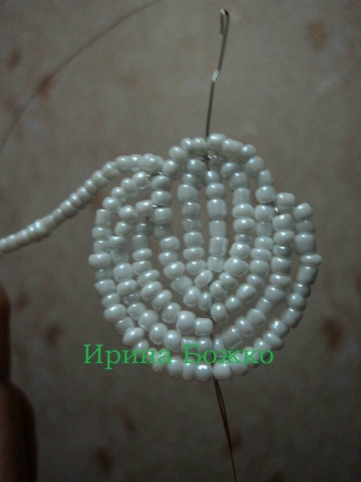 Белая орхидея