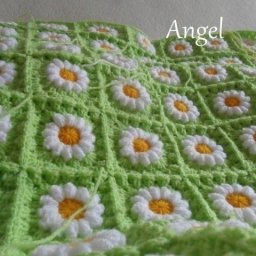 ​Ромашковое поле