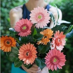 Герберы из бумаги: мастер-класс