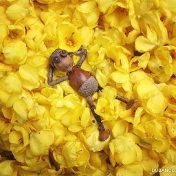 Забавные интерьерные игрушки из желудей