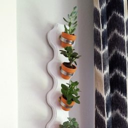 Настенная вертикальная полочка для суккулентов своими руками