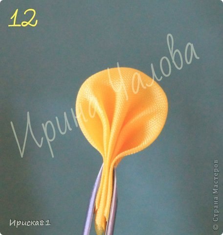 Правдоподобный и изумительно красивый нарцисс