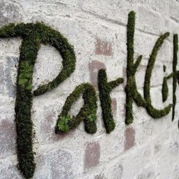 ​Рисуем граффити из мха