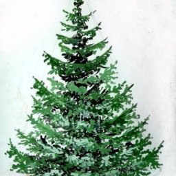 ​Рисуем ёлочку