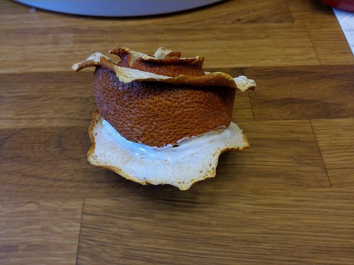 Топиарий из апельсиновых корок