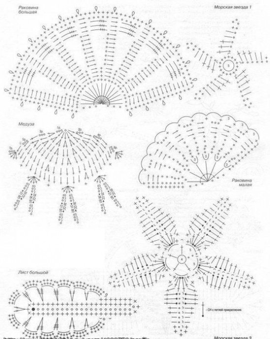 ​Вязаные морские ракушки
