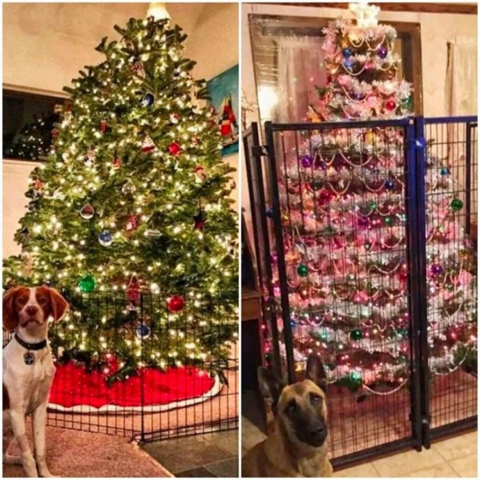 ​Антивандальные варианты ёлочек