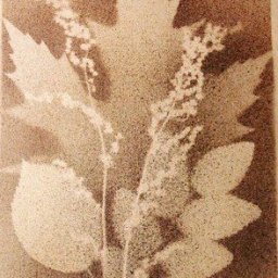 Брызги осени