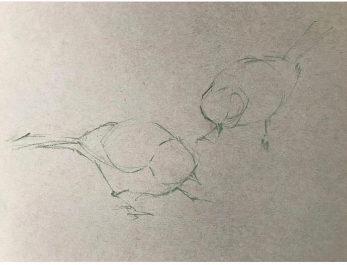 Урок рисования цветными карандашами: синички