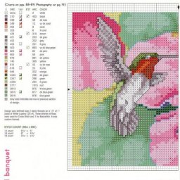 Колибри у цветка