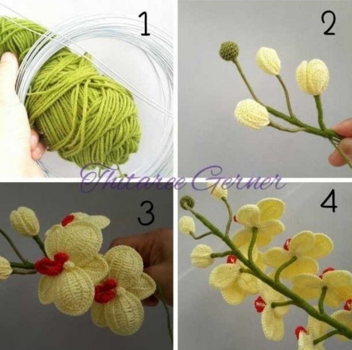 ​Орхидея крючком