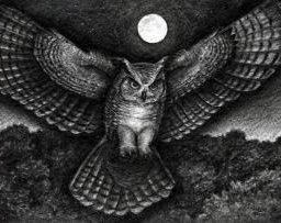 ​Рисуем черно-белого филина