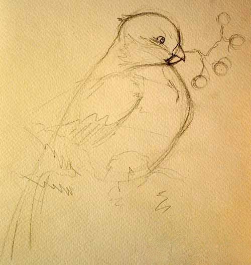 Рисуем снегиря