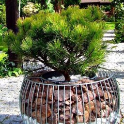 Шикарные идеи с камнями для дачи