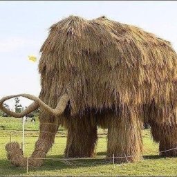 Соломенные шедевры