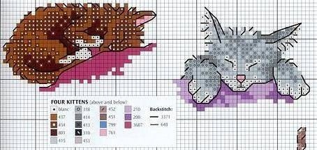 ​Кошки в карманах