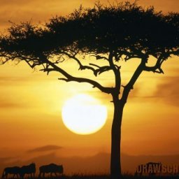 Пейзаж "Африка"