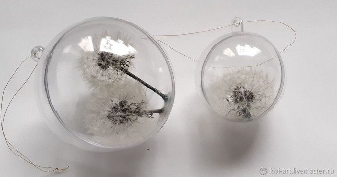 Одуванчиковое счастье