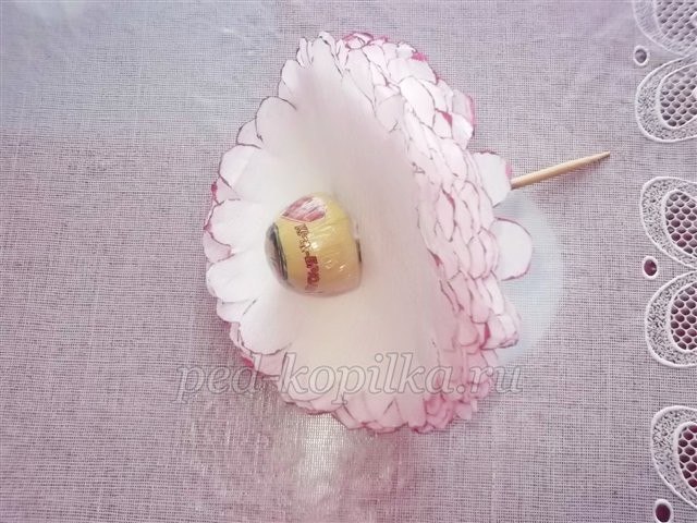 Пионы "Алёнка": мастер-класс