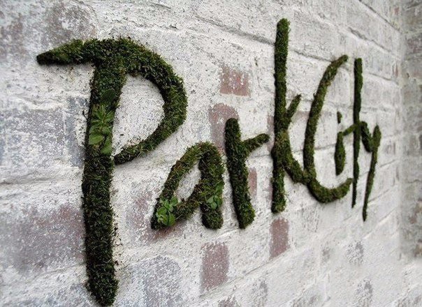 ​Рисуем граффити из мха