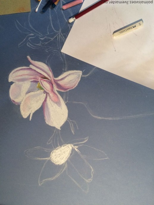 Рисование пастелью магнолии Рисование пастелью магнолии