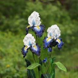 Прекрасные ирисы из бисера: восхитительные идеи