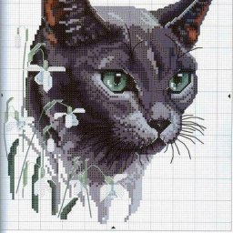 ​Вышиваем котиков