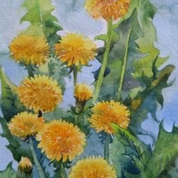 Урок рисования акварелью: одуванчики