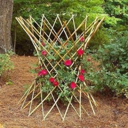 Дачные идеи: опоры для растений