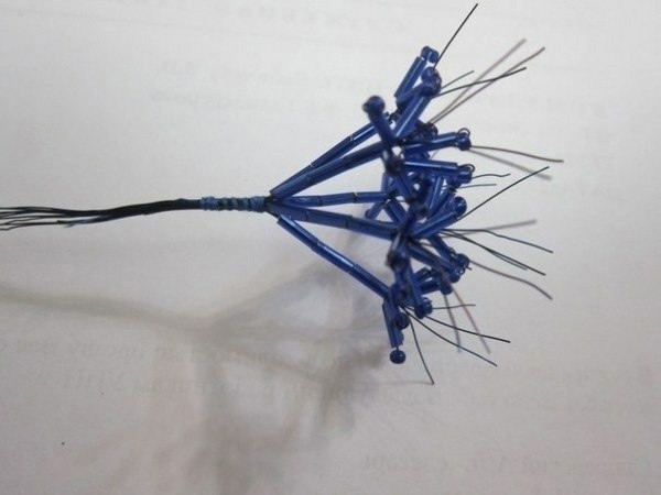 Гемантус из бисера и стекляруса