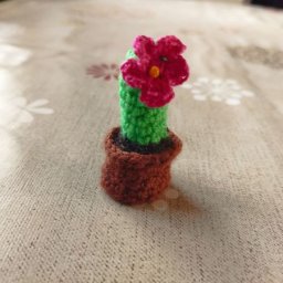 Вяжем мини-кактус