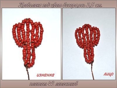 Прекрасный гелениум