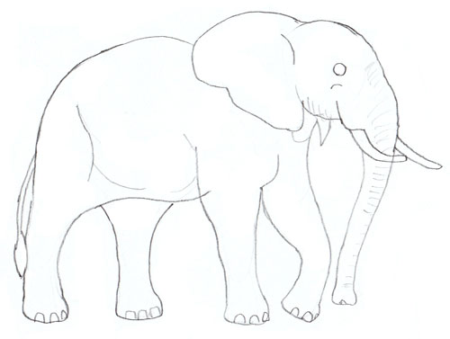 Рисуем слона: пошаговый мастер-класс