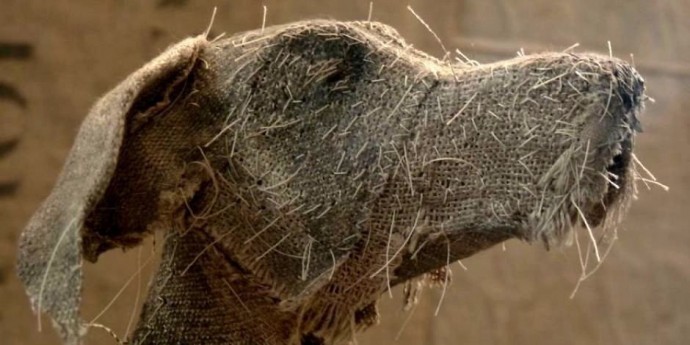 ​Собаки из ветоши: идеи для вдохновенного творчества