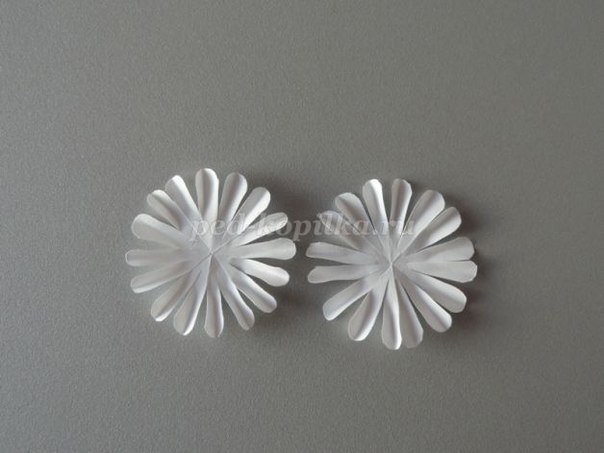 Цветы из бумаги