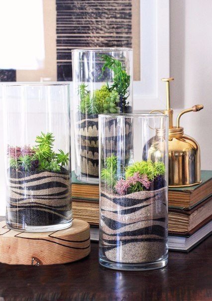 ​Красивый декор с суккулентами и цветным песком