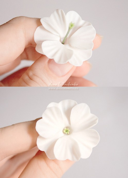 Лепим примулу