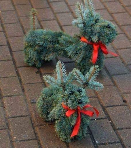 Необычные поделки из елочных и сосновых веток Необычные поделки из елочных и сосновых веток