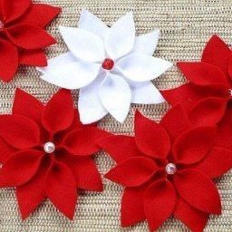 ​Очень красивые цветы