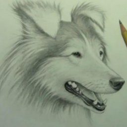 Рисуем собаку простым карандашом